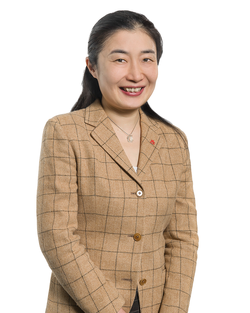 Representative Japan